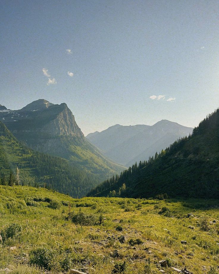 Green mountain valley with layered peaks, Glacier National Park